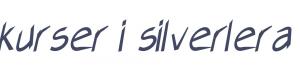 kurser i silverlera